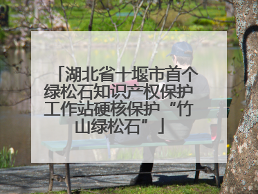 湖北省十堰市首个绿松石知识产权保护工作站硬核保护“竹山绿松石”