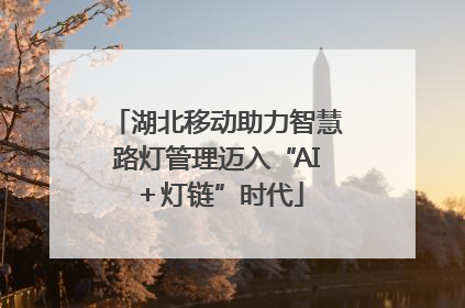 湖北移动助力智慧路灯管理迈入“AI＋灯链”时代