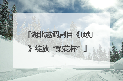 湖北越调剧目《顶灯》绽放“梨花杯”