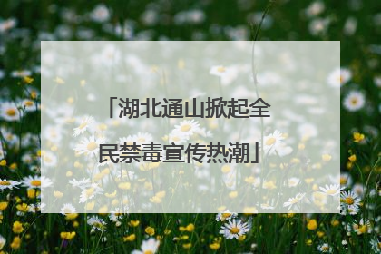 湖北通山掀起全民禁毒宣传热潮