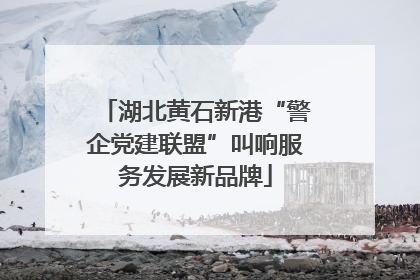 湖北黄石新港“警企党建联盟”叫响服务发展新品牌
