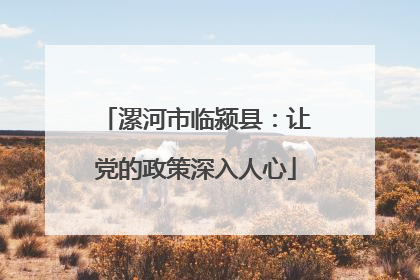 漯河市临颍县：让党的政策深入人心