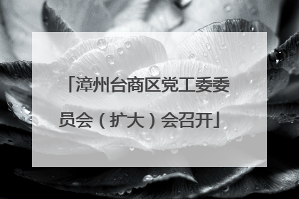 漳州台商区党工委委员会（扩大）会召开
