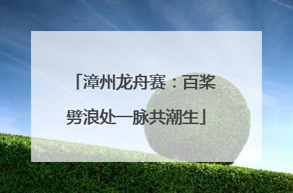 漳州龙舟赛：百桨劈浪处一脉共潮生