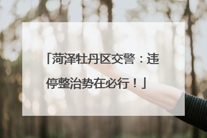 菏泽牡丹区交警：违停整治势在必行！