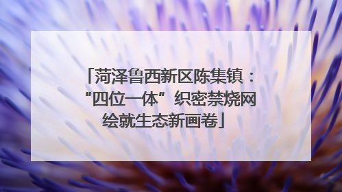 菏泽鲁西新区陈集镇：“四位一体”织密禁烧网 绘就生态新画卷