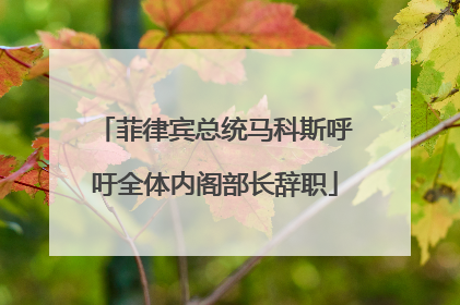 菲律宾总统马科斯呼吁全体内阁部长辞职