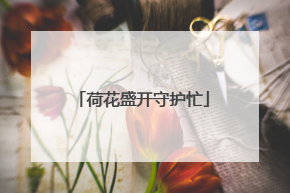 荷花盛开守护忙