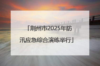 荆州市2025年防汛应急综合演练举行