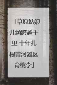 草原姑娘井涵跨越千里 十年扎根黄河滩区育桃李