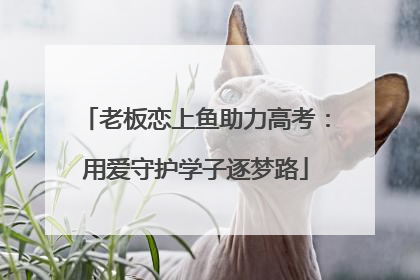 老板恋上鱼助力高考：用爱守护学子逐梦路