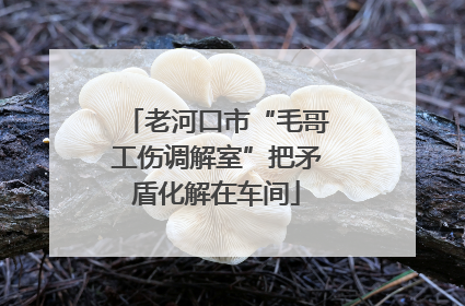 老河口市“毛哥工伤调解室”把矛盾化解在车间