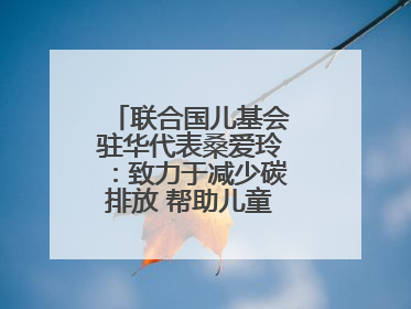 联合国儿基会驻华代表桑爱玲：致力于减少碳排放 帮助儿童适应气候变化