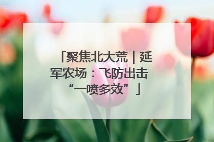 聚焦北大荒｜延军农场：飞防出击 “一喷多效”