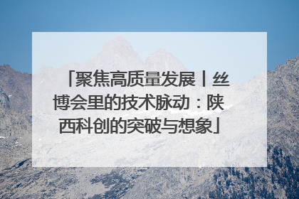 聚焦高质量发展丨丝博会里的技术脉动：陕西科创的突破与想象