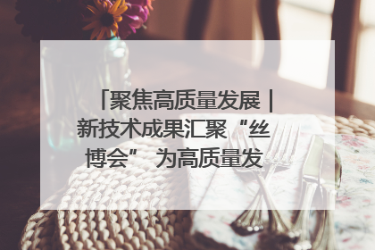 聚焦高质量发展｜新技术成果汇聚“丝博会” 为高质量发展注入新动能