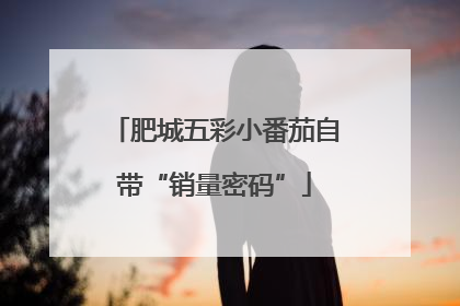 肥城五彩小番茄自带“销量密码”