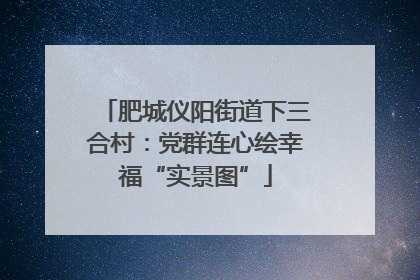 肥城仪阳街道下三合村：党群连心绘幸福“实景图”