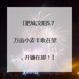 肥城汶阳5.7万亩小麦丰收在望，开镰在即！