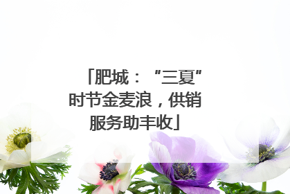 肥城：“三夏”时节金麦浪，供销服务助丰收