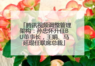 腾讯视频调整管理架构：孙忠怀升任BU董事长，王娟、马延琨任联席总裁