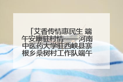 艾香传情惠民生 端午安康驻村情——河南中医药大学驻西峡县寨根乡桑树村工作队端午中医惠民记