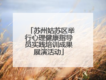 苏州姑苏区举行心理健康指导员实践培训成果展演活动