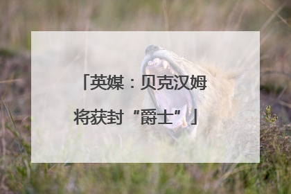 英媒：贝克汉姆将获封“爵士”