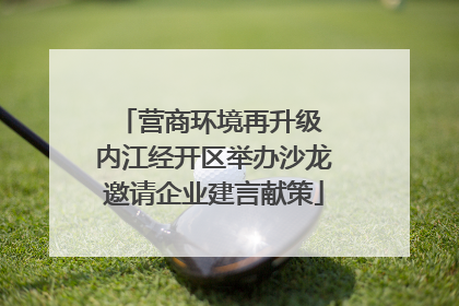 营商环境再升级 内江经开区举办沙龙邀请企业建言献策