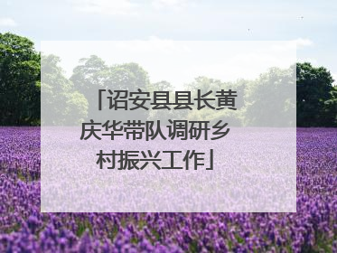 诏安县县长黄庆华带队调研乡村振兴工作