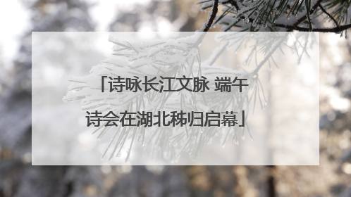 诗咏长江文脉 端午诗会在湖北秭归启幕