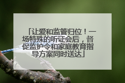 让爱和监管归位！一场特殊的听证会后，督促监护令和家庭教育指导方案同时送达