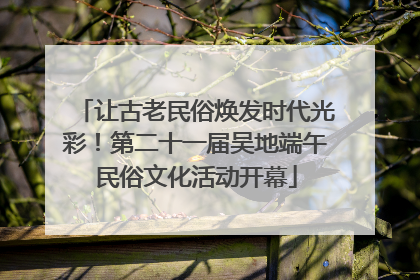 让古老民俗焕发时代光彩！第二十一届吴地端午民俗文化活动开幕