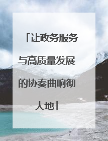 让政务服务与高质量发展的协奏曲响彻大地