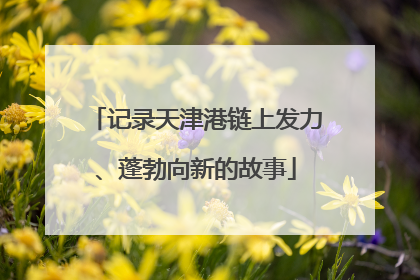 记录天津港链上发力、蓬勃向新的故事