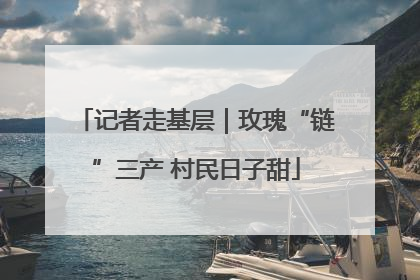 记者走基层｜玫瑰“链”三产 村民日子甜