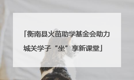衡南县火苗助学基金会助力城关学子“坐”享新课堂