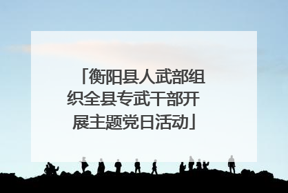 衡阳县人武部组织全县专武干部开展主题党日活动