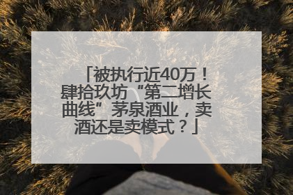 被执行近40万！肆拾玖坊“第二增长曲线”茅泉酒业，卖酒还是卖模式？