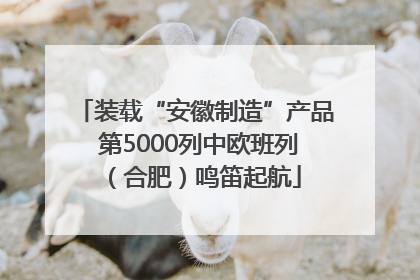装载“安徽制造”产品 第5000列中欧班列（合肥）鸣笛起航
