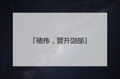 褚伟，晋升副部