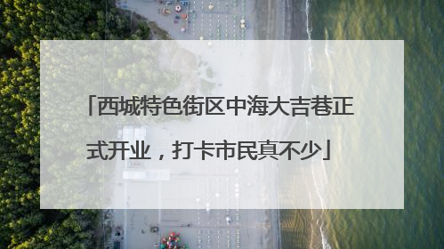 西城特色街区中海大吉巷正式开业，打卡市民真不少