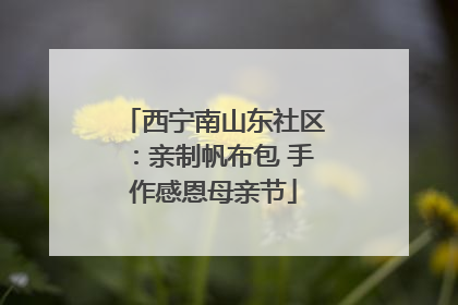 西宁南山东社区：亲制帆布包 手作感恩母亲节