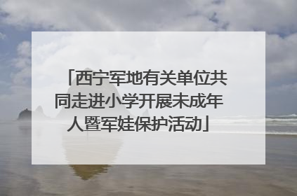 西宁军地有关单位共同走进小学开展未成年人暨军娃保护活动