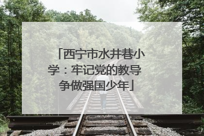西宁市水井巷小学：牢记党的教导 争做强国少年