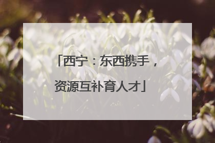 西宁：东西携手，资源互补育人才