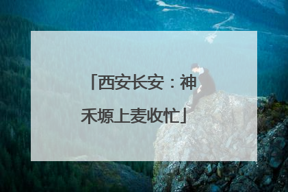 西安长安：神禾塬上麦收忙