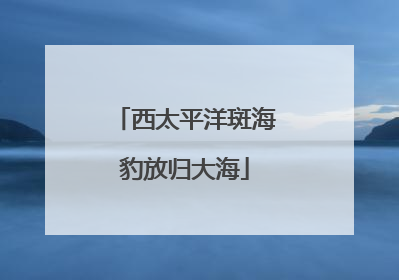 西太平洋斑海豹放归大海