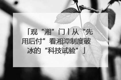 观“湘”门丨从“先用后付”看湘潭制度破冰的“科技试验”