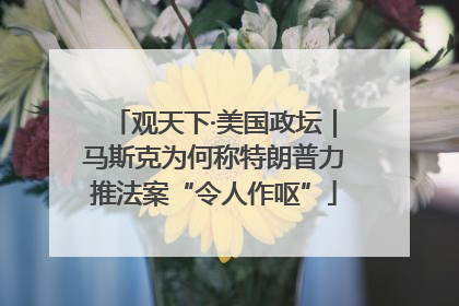 观天下·美国政坛｜马斯克为何称特朗普力推法案“令人作呕”